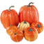 7 pièces de citrouilles orange artificielles assorties pour récolter des citrouilles en mousse décoratives pour la ferme, automne rustique, action de grâce, Halloween
