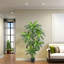 Annetraud 150cm Plant