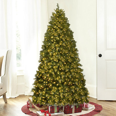 Lighted Christmas Tree