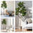 79'' Faux Fiddle Leaf Fig Tree in Ceramic Pot