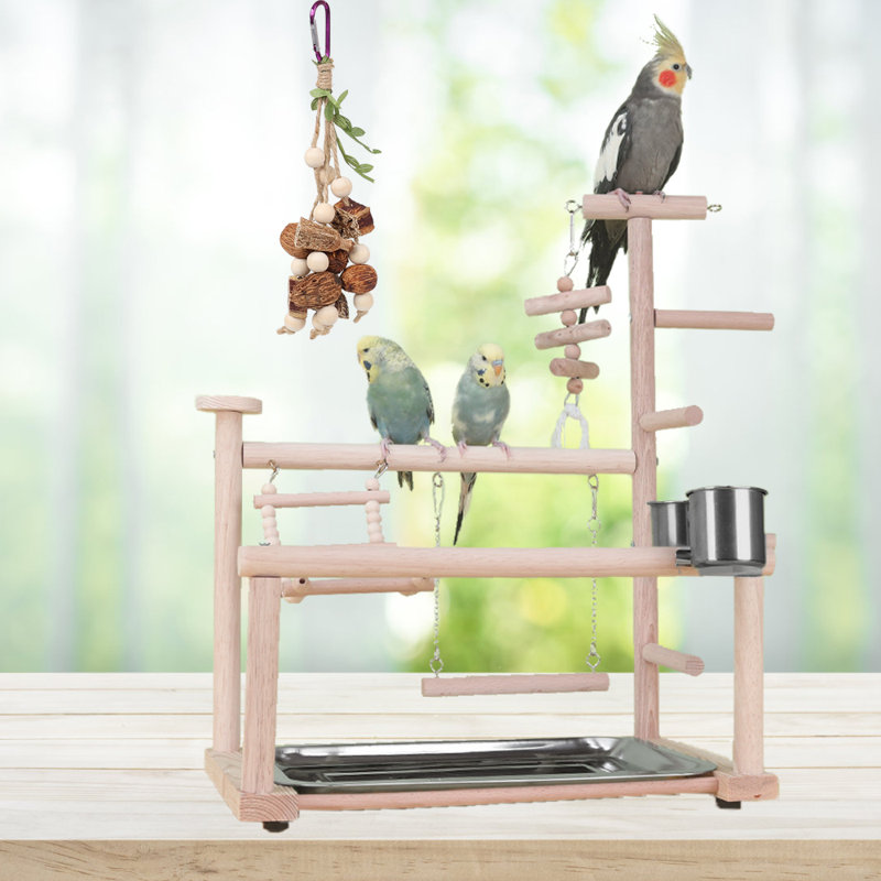 18'' Bird Play Gym for Table Top