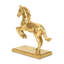 Cheval de dressage Balik