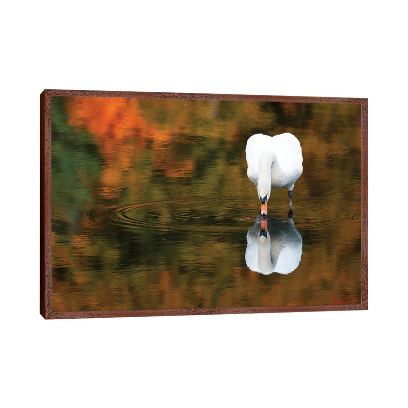 Reflected Swan II 1 Piece Wall Art on Canvas, 66.04 cm H x 45.72 cm W, Brown Framed