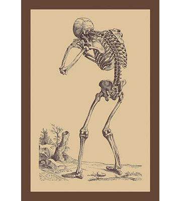 « pliage squelette » par andreas vesalius, impression encadrée
