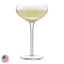 Libbey Signature Kentfield Coupe Cocktail Glasses