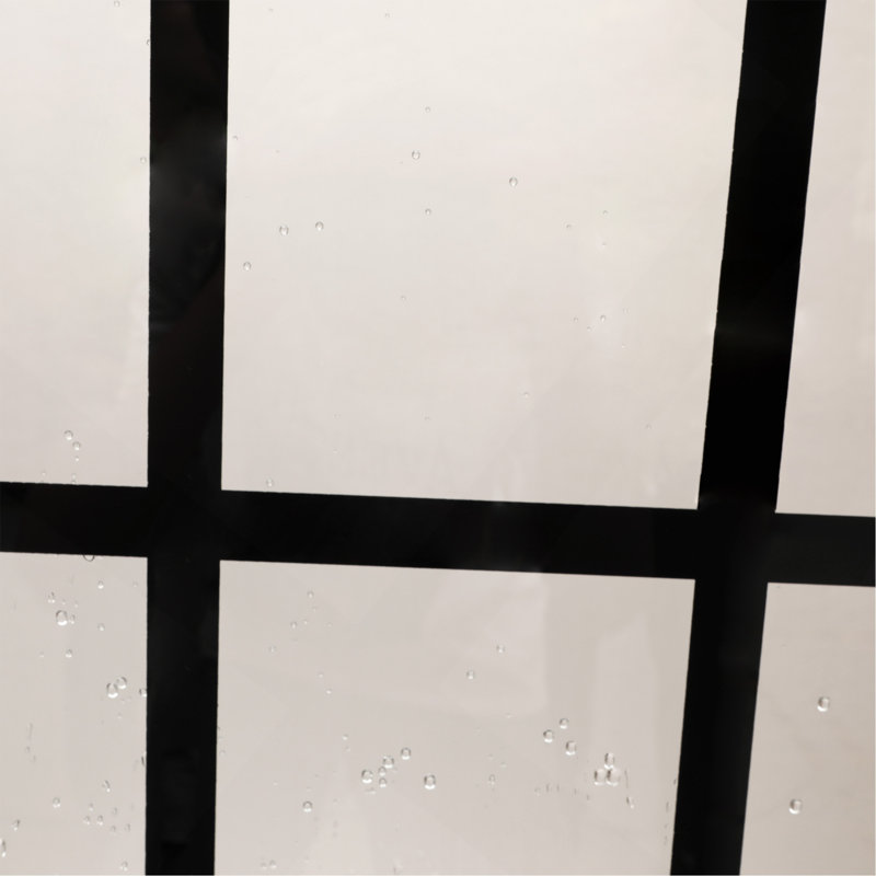 Porte de douche l 80 po x H 72 po porte de douche fixe sans cadre, 5/16 po (8 mm), entrée noire