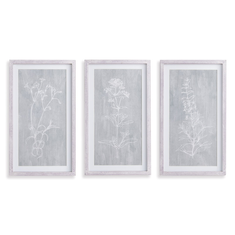 Pinar croquis botanique - ensemble de 3 reproductions de cadres photo sur bois