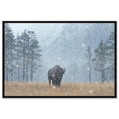 Mountain Bison II Print by Oliver Gal