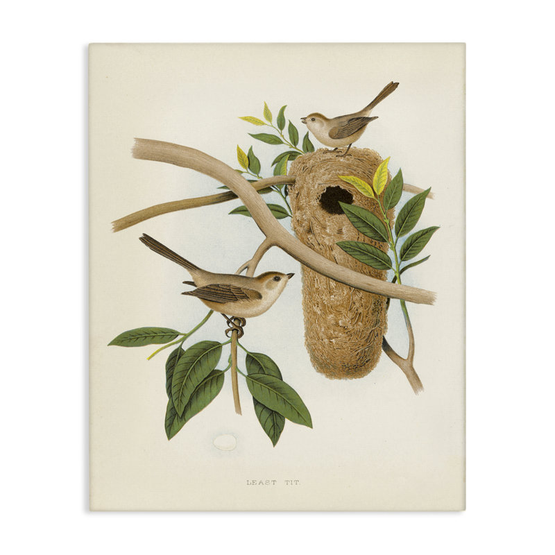  Art mural rétro, "Bird House Study" par Tina Higgins Designs, Inc., H 40 po x l 30 po