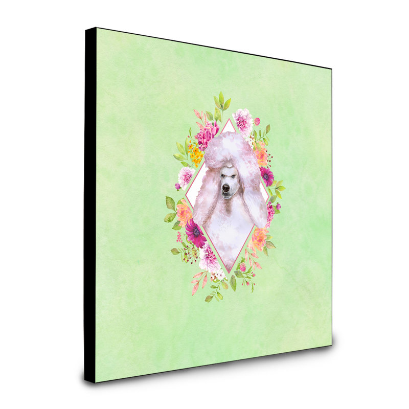Panneau mural Dollman Flowers, Vert, Caniche à poil long rose