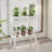 Bamboo Plant Table Stand Indoor-705196347