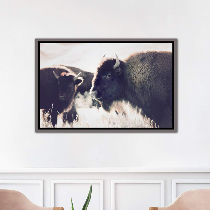 Photographie buffalo, Toile encadrée de bois rustique foncé, H 18 po x l 26 po x P 1,5 po