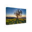 Toile d'extérieur «Tree Shadows» Blomquist Chris Moyer-87946006