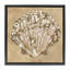 Cadre flottant Earthtone Clam Shell, design par June Erica Vess-1258743627-1258743626