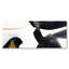 Exhalation Print-273566629