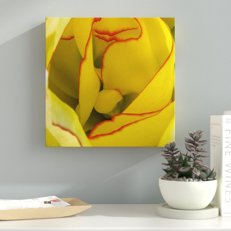 «Inside a Beautiful Tulip» par Kurt Shaffer - reproduction de photo sur toile, H 35 po x l 35 po x P 2 po