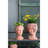 Brown Garden Head Planter - Cement Made For Outdoor Beauty Bust Style-1376902500