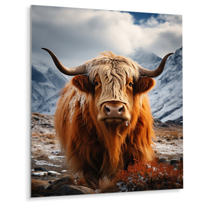 " Brown Yaks In Montain IV "