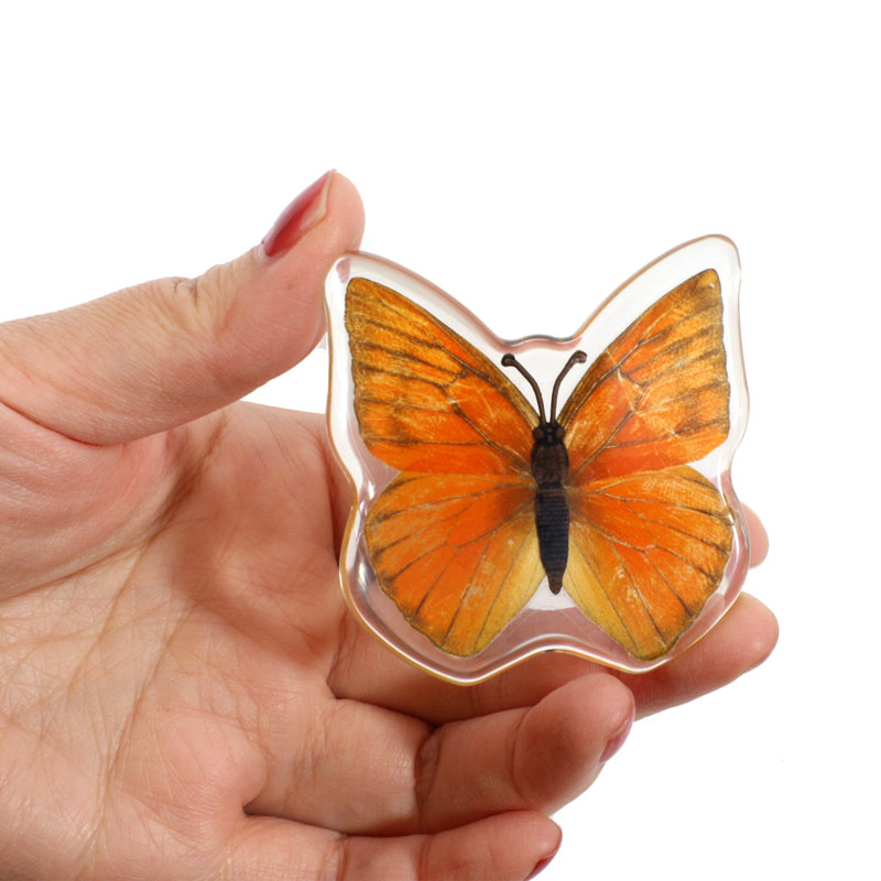 Magnet papillon en rabinlá Albatros