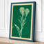 Cream Carnation Study Botanical - Wrapped Canvas-1116235533-1116235572