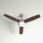 52'' Ceiling Fan with Light Kit-863107912