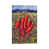 Wrapped Canvas selected