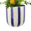 Topiaire citron dans un vase décoratif en céramique