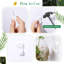 6 Pcs Glass Wall Vase Indoor Propagation Planters Hanging Suction Cup With Plastic Invisible Traceless Hanger Wall Mount Decor For Hydroponic Plant Flower Succulent Spring Summer Wedding Decor
