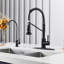 Blue Elephant Pull Down Kitchen Faucet-1208488354