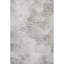 Tapis argent de qualité supérieure lavable à la machine Cerrito AMF592-105076999