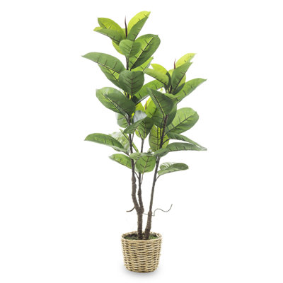 120cm Faux Rubber Tree in Earthenware Pot