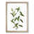Oak Framed selected