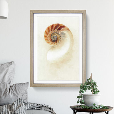 Mother of Pearl Shell - Framed Print