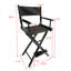 Enger Folding Director Chair-1563584943-1563584942