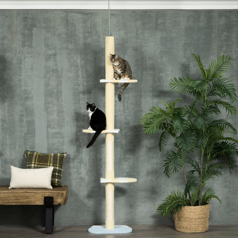 4 hautes tours électrifiantes pour chat, du sol au plafond, réglables, plateformes, poteaux à griffer, pour chats d'intérieur