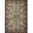 Rifle Paper Co. x Loloi Canopy Aubergine Area Rug-110964299