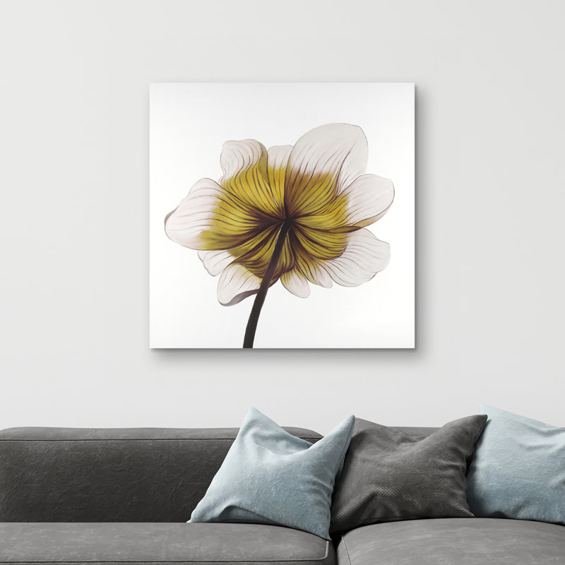 Beautiful anemone flower - 32"x32" art on canvas
