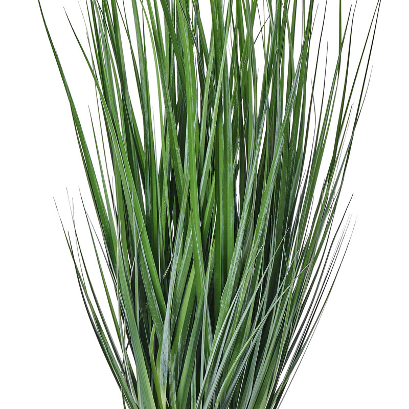 Herbe d'agave en pot 48 po UV, 48 po x 15 po