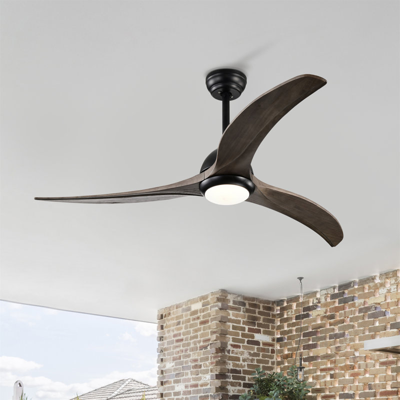 Ventilateur de plafond 52 po, Noir mat, Brun