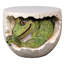 Table Junior Dinosaure T-Rex
