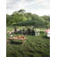 10 Ft. W x 20 Ft. D Metal Dome Canopy-98640780