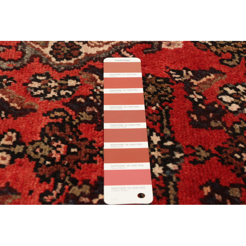 Tapis rouge Andelz 3 pi 5 po x 10 pi 2 po