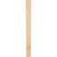 Attelle de genou traditionnelle-87189049-110091250