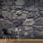 Danyu Non-Pasted Wall Mural-1471848591