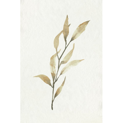 Douce branche d'automne I