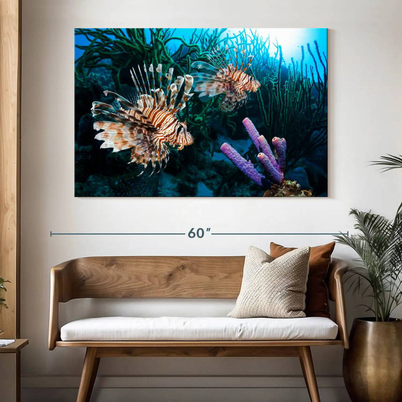 Brampt Atlantic Ocean Lionfish, 34" H x 51" W