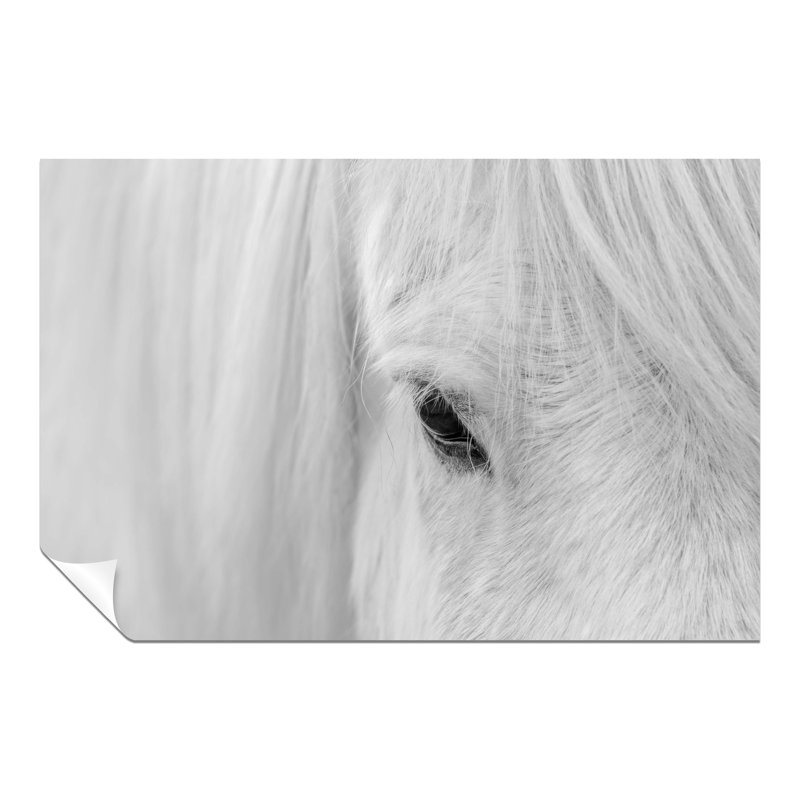 Horse Face Close up 1 Piece Wall Art, 20cm H x 31cm W x 0.5cm D
