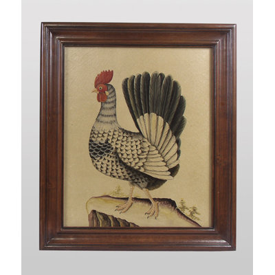 Coq, reproduction d'art encadrée