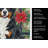 Bernese Mountain Dog Christmas PoinsettIas Kitchen Towel-2080584077