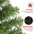 Lighted Spruce Christmas Tree-1151124894